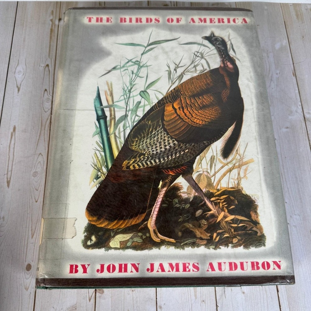 Birds of America John James Audubon 1971 Sixth Printing Illustrated Macmillan